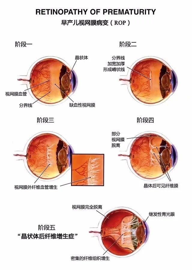 图片23.png